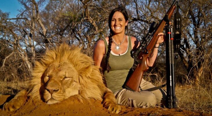 Melissa Bachman sparks outrage after being pictured with dead lion she 'stalked and killed' in South Africa - World News - Mirror Online