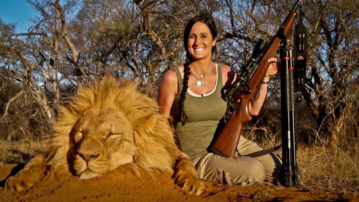 Melissa Bachman sparks outrage after being pictured with dead lion she  &#39;stalked and killed&#39; in South Africa - World News - Mirror Online
