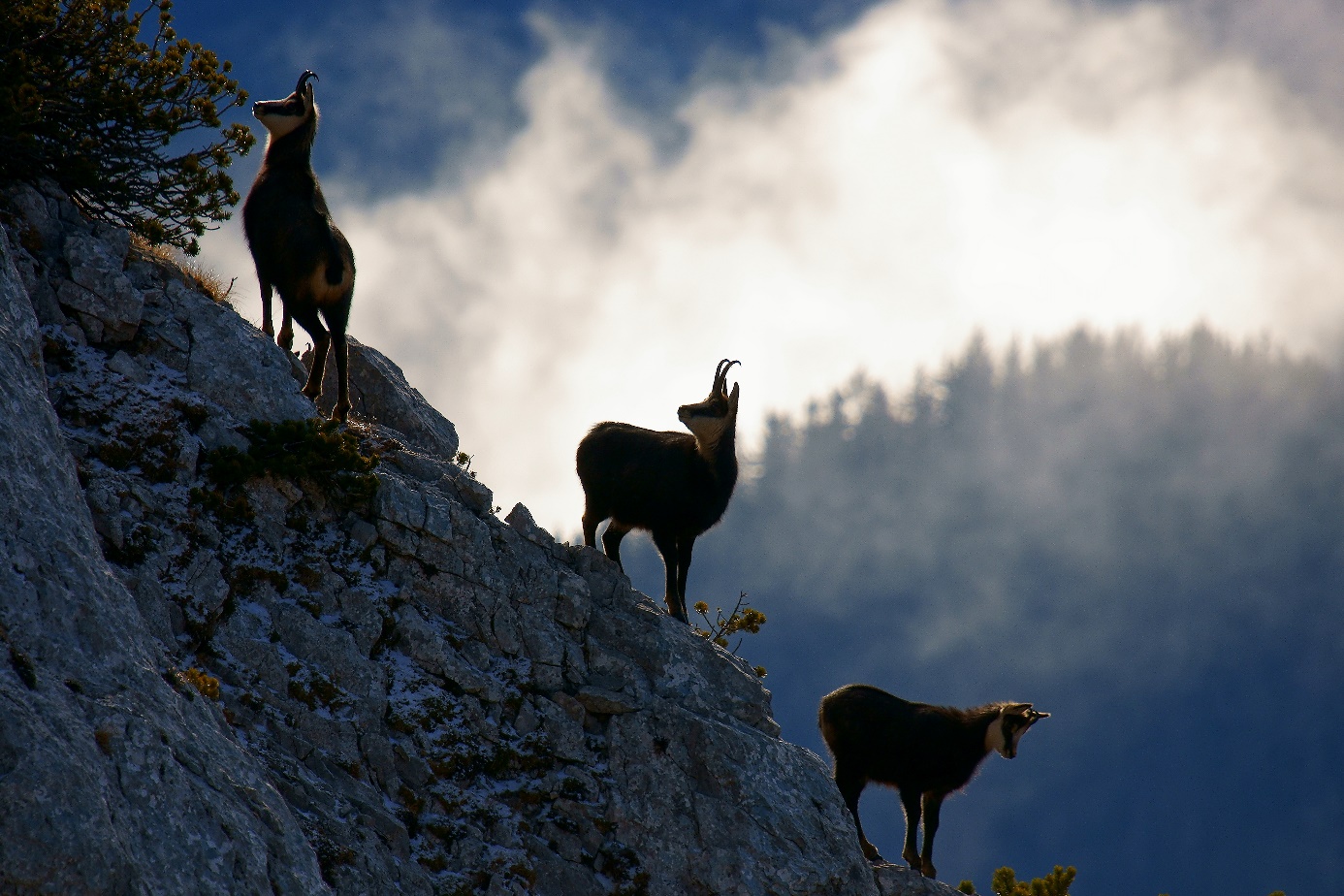 Slika, ki vsebuje besede zunanje, nebo, stoječe, gora

Opis je samodejno ustvarjen