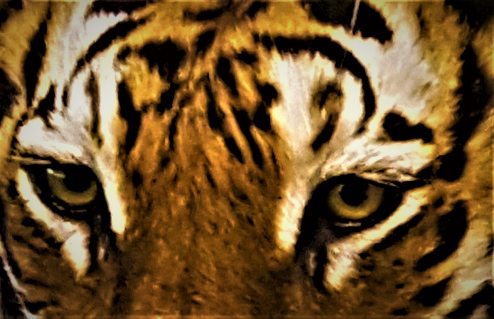 Slika, ki vsebuje besede mačka, sesalec, gledanje, tiger

Opis je samodejno ustvarjen