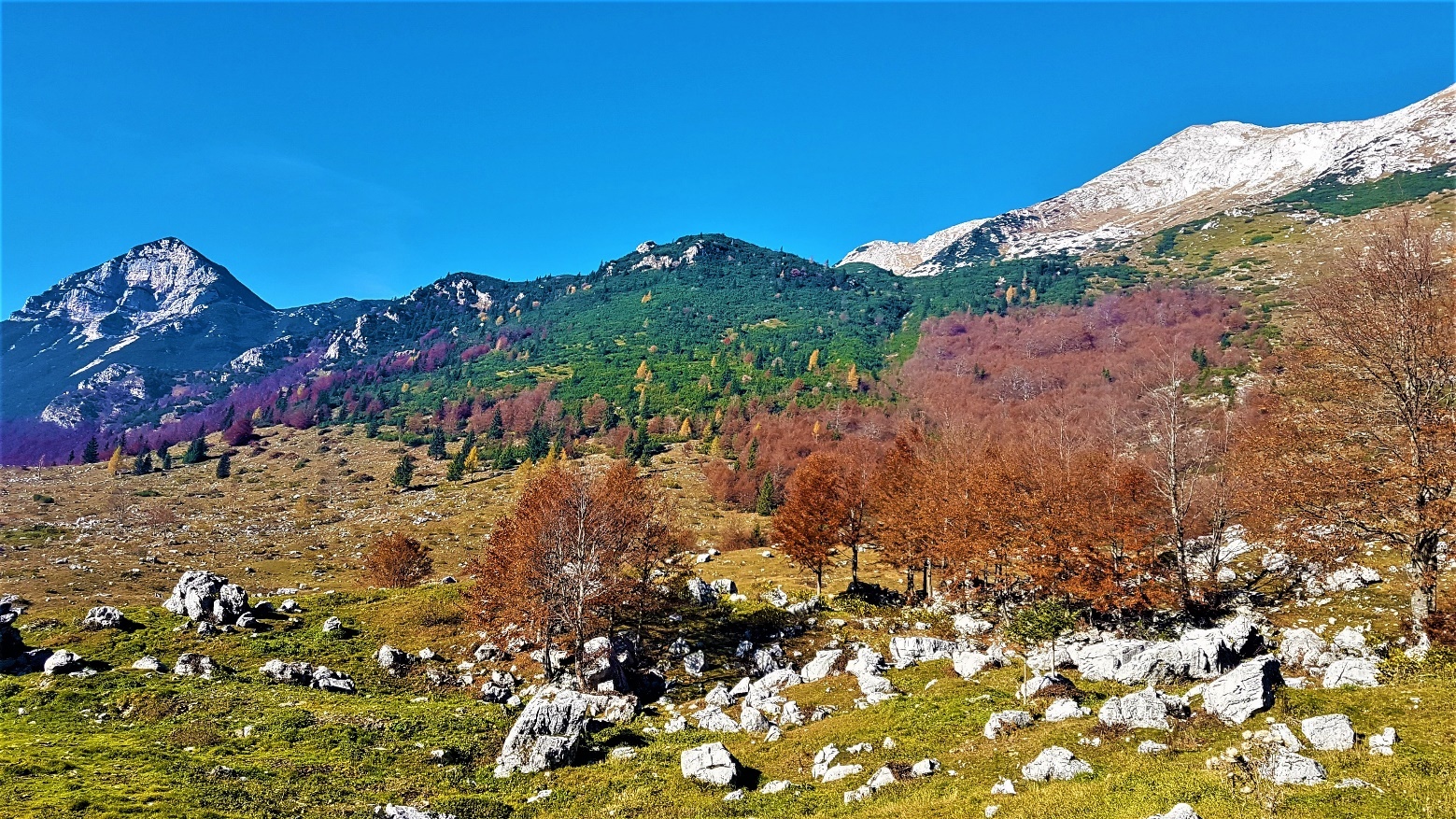 Slika, ki vsebuje besede narava, gora, pobočje, višavje

Opis je samodejno ustvarjen