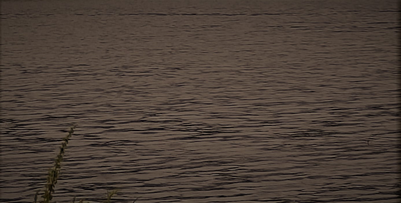 Slika, ki vsebuje besede na prostem, voda, narava, jezero

Opis je samodejno ustvarjen