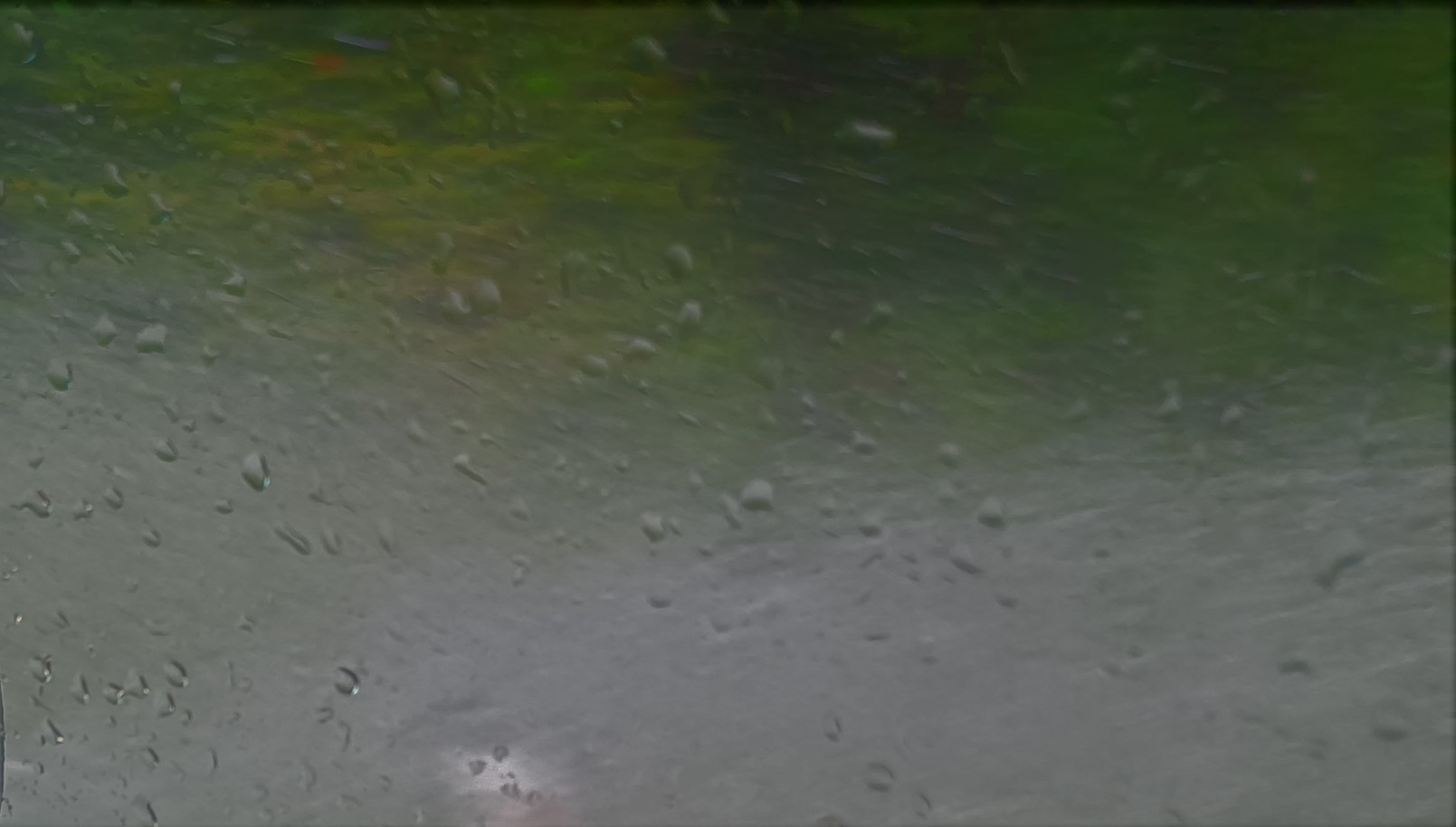 Slika, ki vsebuje besede voda, dež

Opis je samodejno ustvarjen