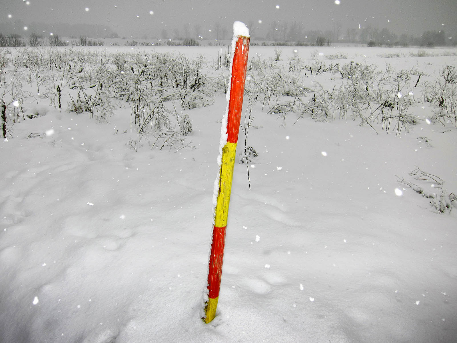 Slika, ki vsebuje besede na prostem, zima, zamrzovanje, snežni metež

Opis je samodejno ustvarjen