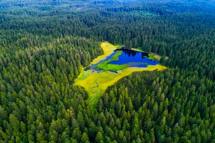 Slika, ki vsebuje besede pokrajina, na prostem, drevo, gora

Opis je samodejno ustvarjen