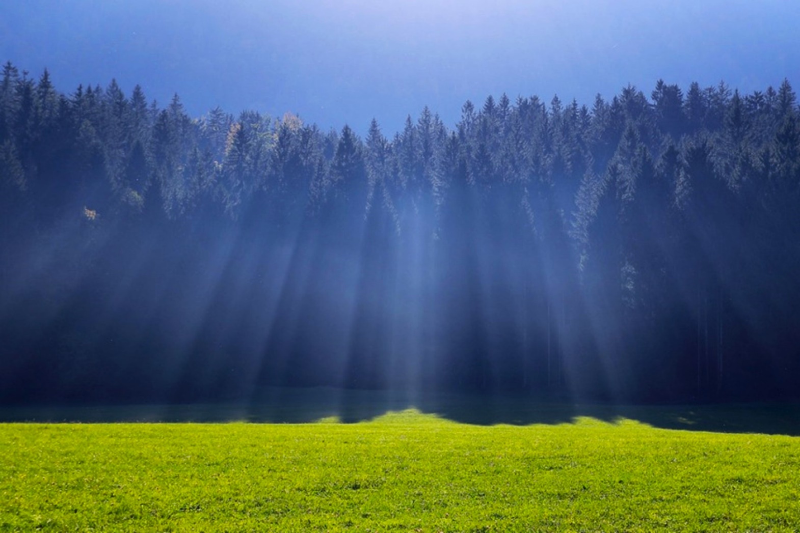 Slika, ki vsebuje besede pokrajina, trava, na prostem, drevo

Opis je samodejno ustvarjen