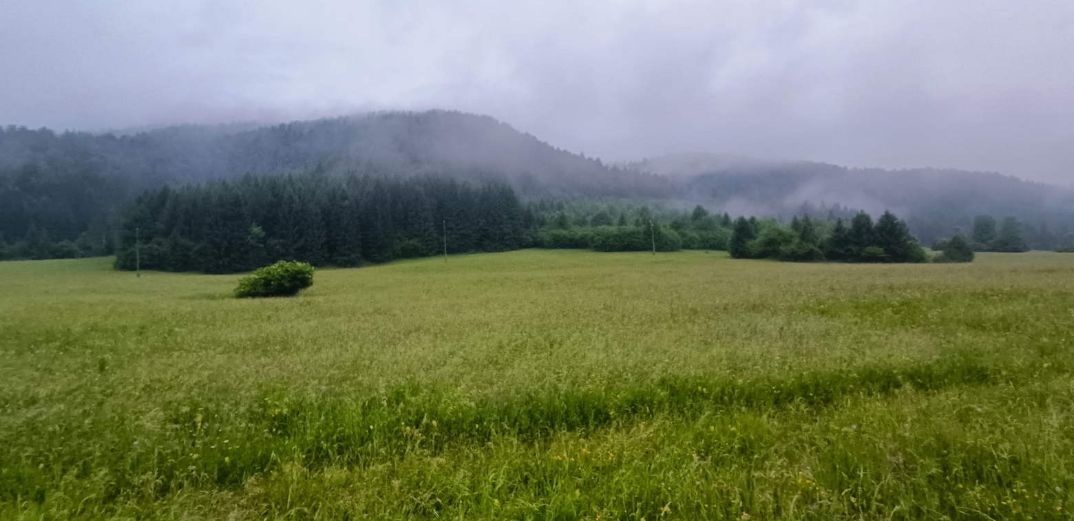 Slika, ki vsebuje besede na prostem, pokrajina, narava, travnik

Opis je samodejno ustvarjen