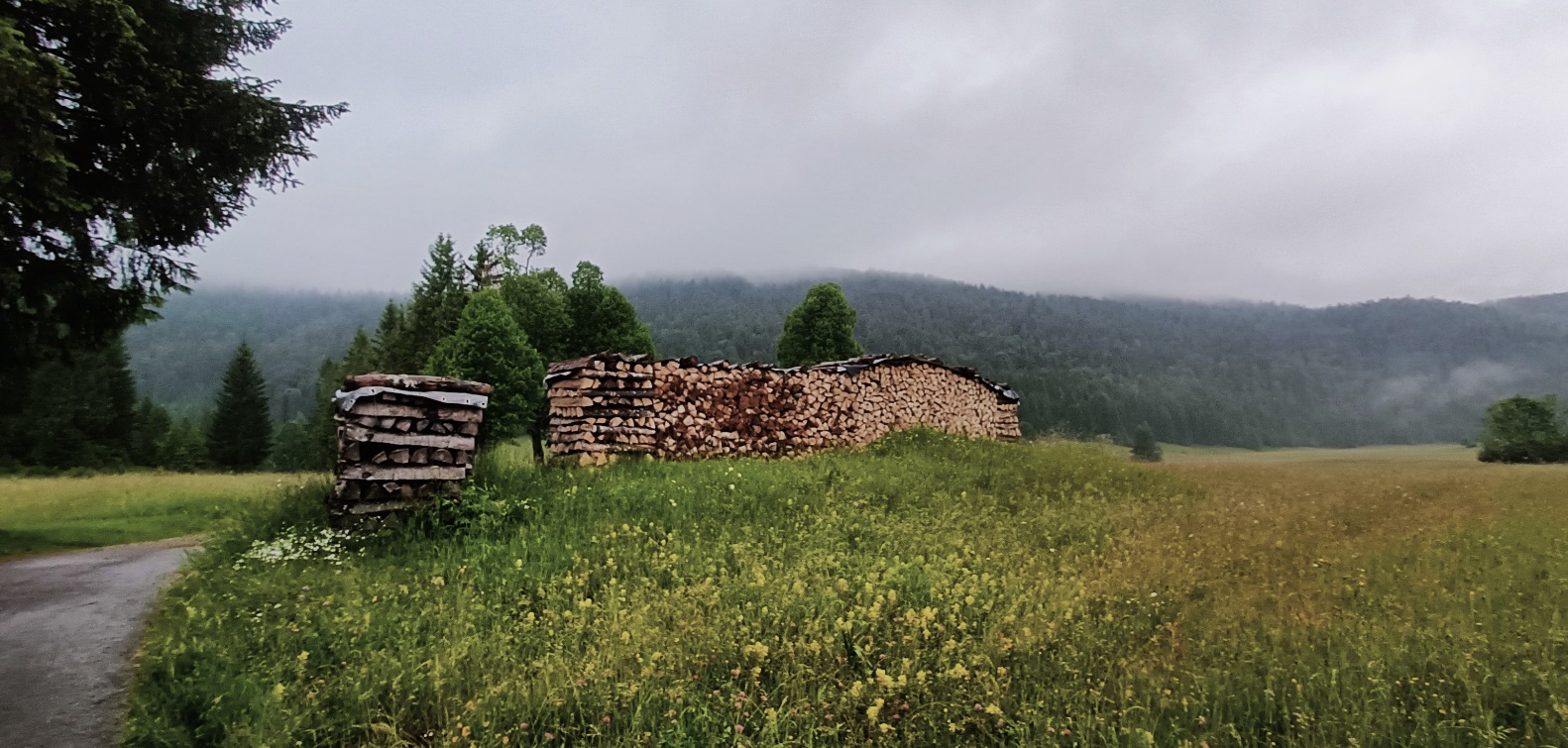 Slika, ki vsebuje besede na prostem, trava, pokrajina, oblak

Opis je samodejno ustvarjen