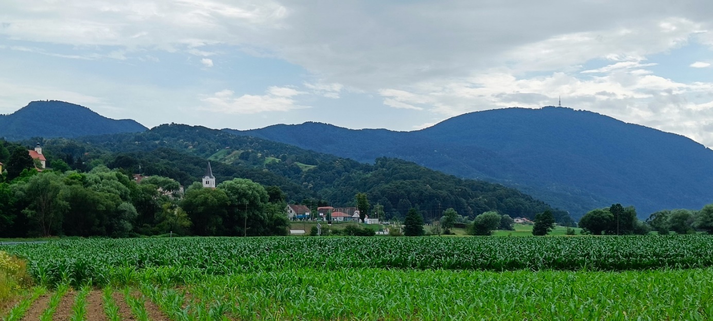 Slika, ki vsebuje besede na prostem, pokrajina, gora, drevo

Opis je samodejno ustvarjen