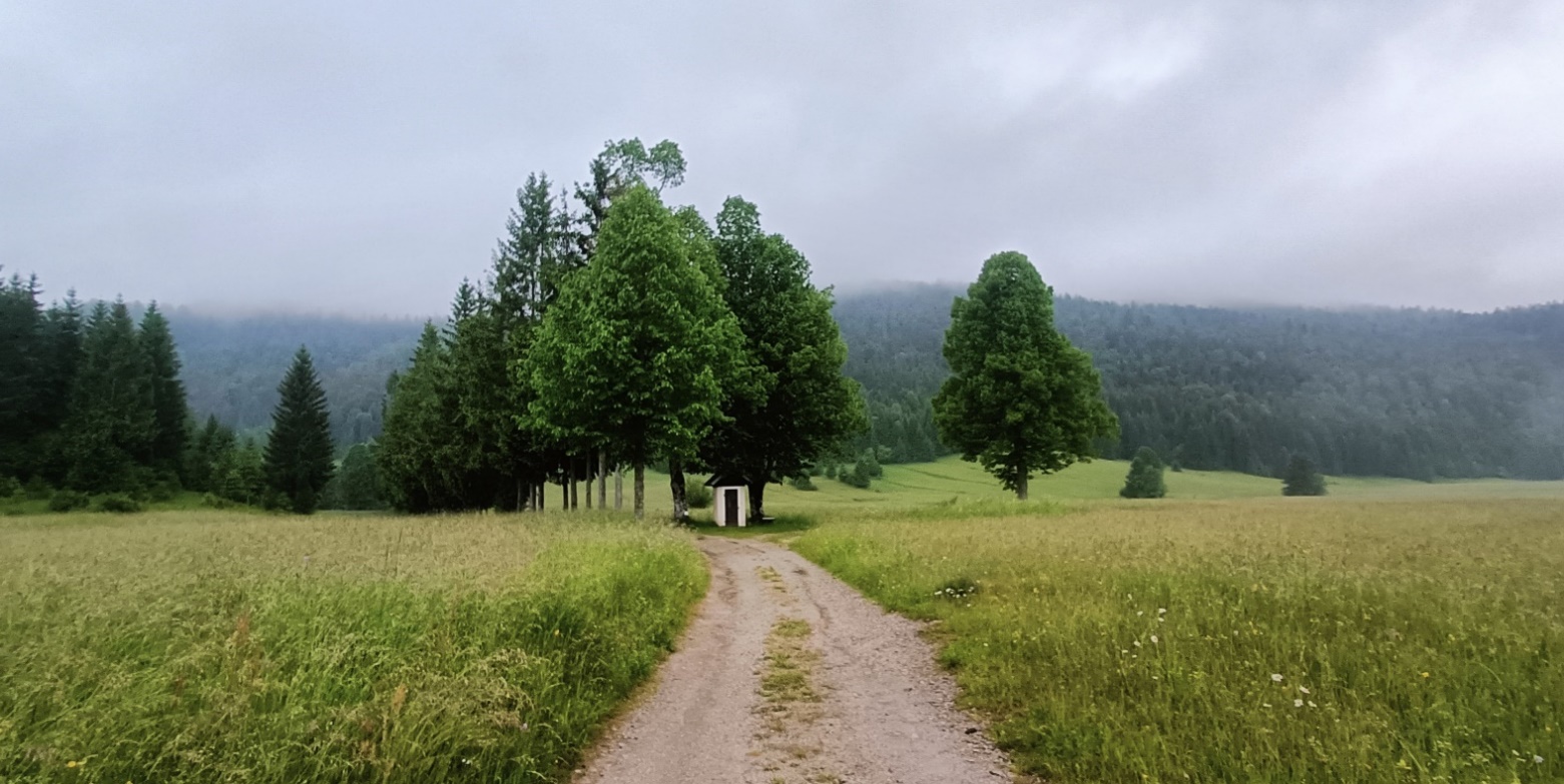 Slika, ki vsebuje besede na prostem, trava, nebo, pokrajina

Opis je samodejno ustvarjen