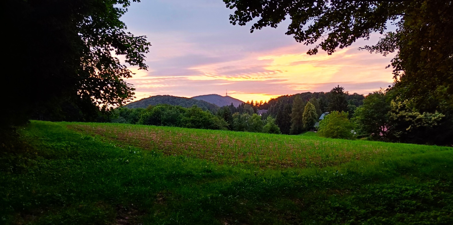 Slika, ki vsebuje besede trava, na prostem, pokrajina, drevo

Opis je samodejno ustvarjen