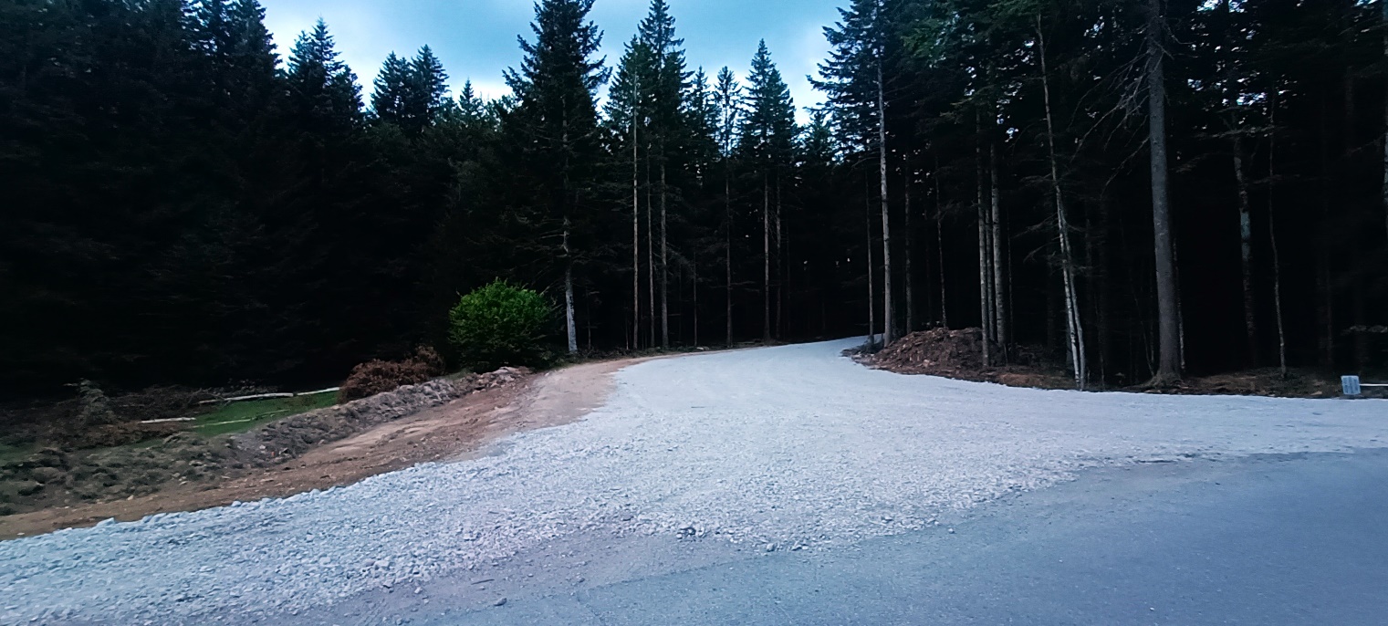 Slika, ki vsebuje besede na prostem, drevo, cesta, nebo

Opis je samodejno ustvarjen