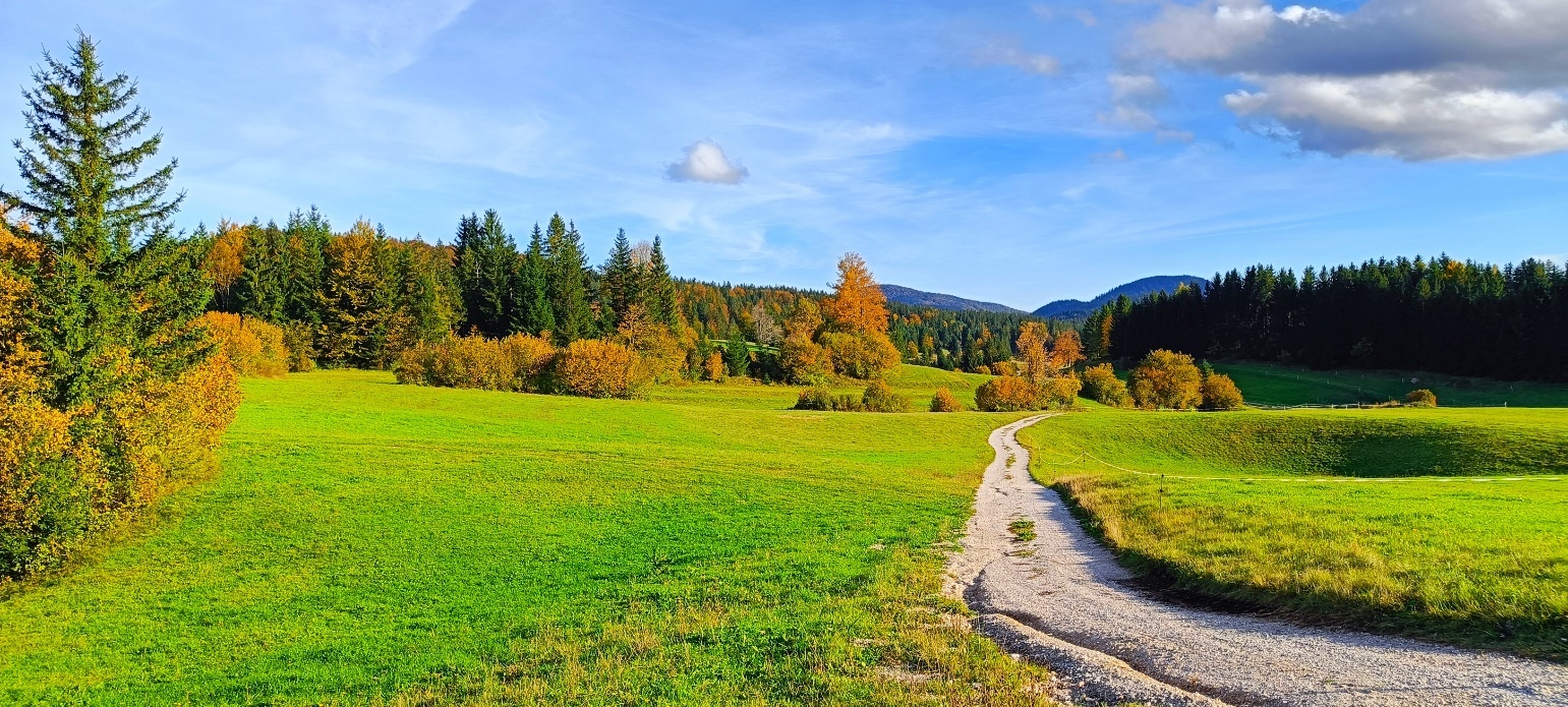 Slika, ki vsebuje besede na prostem, pokrajina, trava, drevo

Opis je samodejno ustvarjen