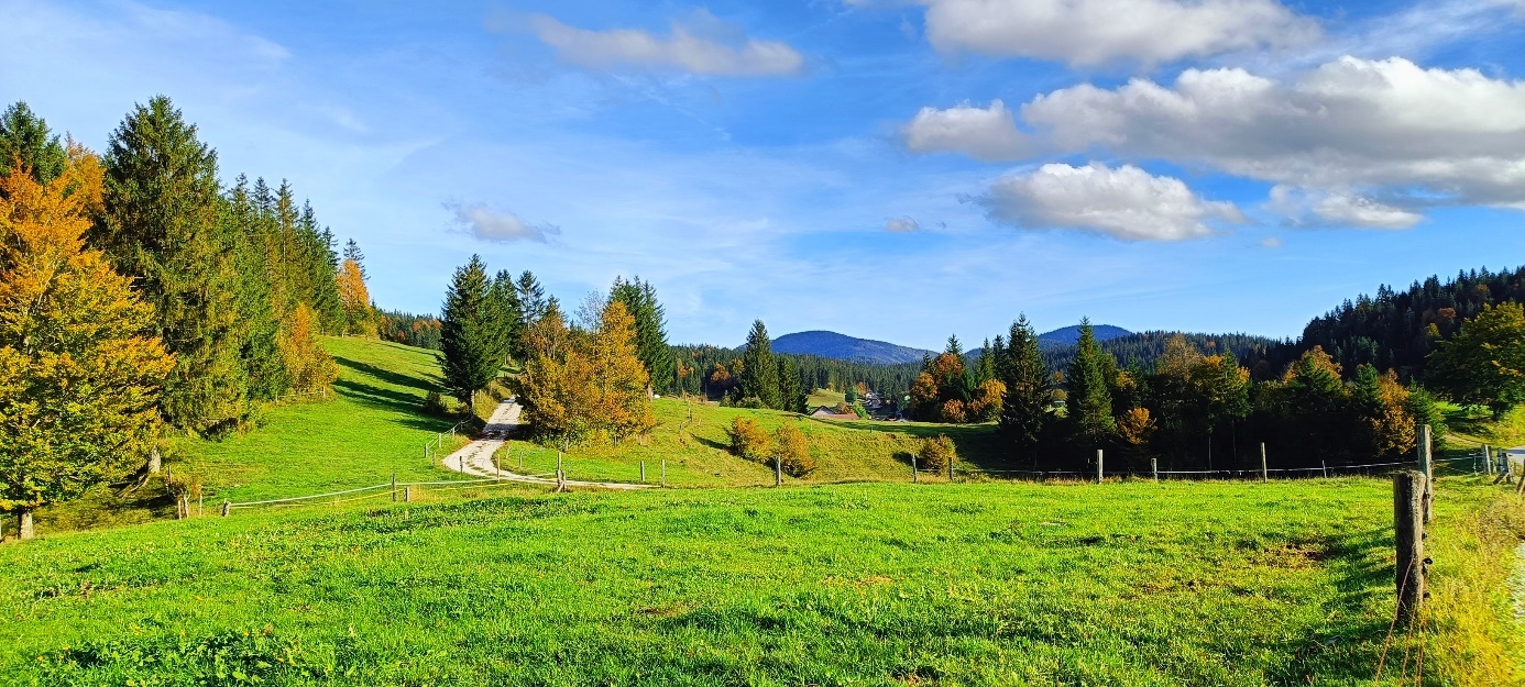 Slika, ki vsebuje besede na prostem, trava, pokrajina, oblak

Opis je samodejno ustvarjen