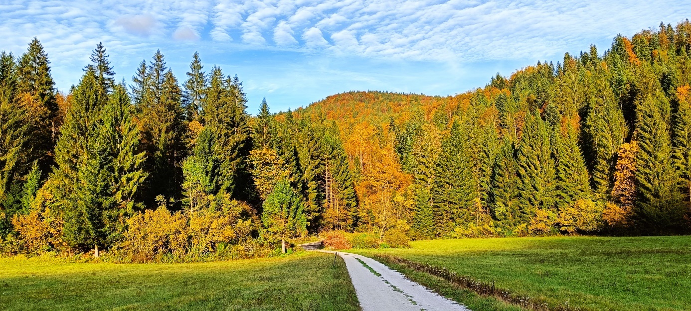 Slika, ki vsebuje besede na prostem, trava, pokrajina, narava

Opis je samodejno ustvarjen