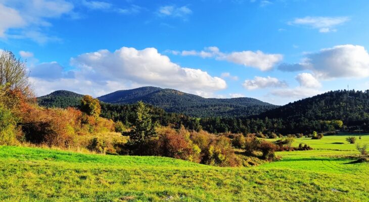 KO JE BISTRIŠKA ARHITEKTKA IZZVALA INVESTITORJA IN PRISOTNE DRŽAVNE URADNIKE, NAJ TAKOJ DVIGNE ROKO TISTI, KI BI ŽIVEL POD VETRNICAMI, SO SAMO NEMO IN STEKLENO GLEDALI V MIZO IN NIHČE NI DVIGNIL ROKE! BISTRČANI SO JASNO DALI VEDETI, NE JE NE! ŠOLINC PA O VOLOVJI REBRI KOT »KRASNEM PRIMERU KOMPROMISA S 83 NA 27 VETRNIC«! IN PEROVIČEVA, DA NIMA PRISTOJNOSTI GOVORITI O TEM, KAJ BO ZDAJ!