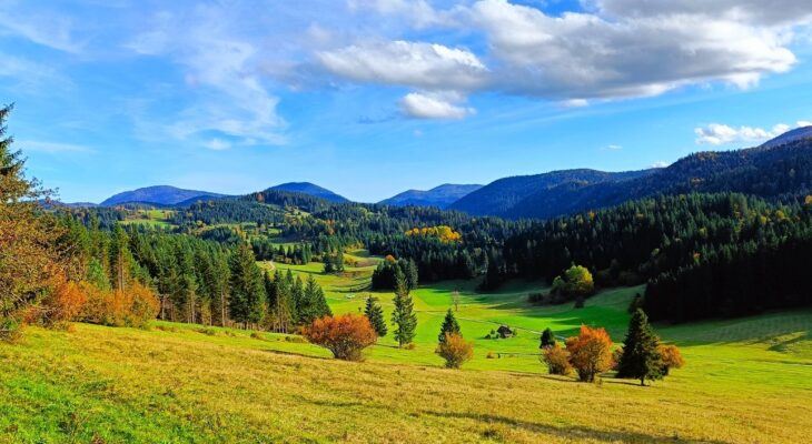 ZLOVEŠČA JESEN V LOŠKEM POTOKU. KDO USTRAHUJE KRITIČNO JAVNOST IN NOVINARJE Z NEUTEMELJENIM MAHANJEM S KAZENSKO OVADBO TER PRIREJA? ALI PONAREJA? PODPISE LASTNIKA ZEMLJIŠČA? DRAVSKE ELEKTRARNE? LESNA ZADRUGA? OBČINA? ALI SPREGA VSEH TREH!? IN, ALI BO KDO KONČNO POSVETIL V MRAKOBNE RABOTE NA POTOŠKEM TER V SRCU EVROPE PREBIVALCE ODREŠIL VKLENJENOSTI V MOLK IN USTRAHOVANJE TER GROZEČE BRUTALNO UNIČENJE NJIHOVEGA BIVALNEGA OKOLJA IN NARAVE!?