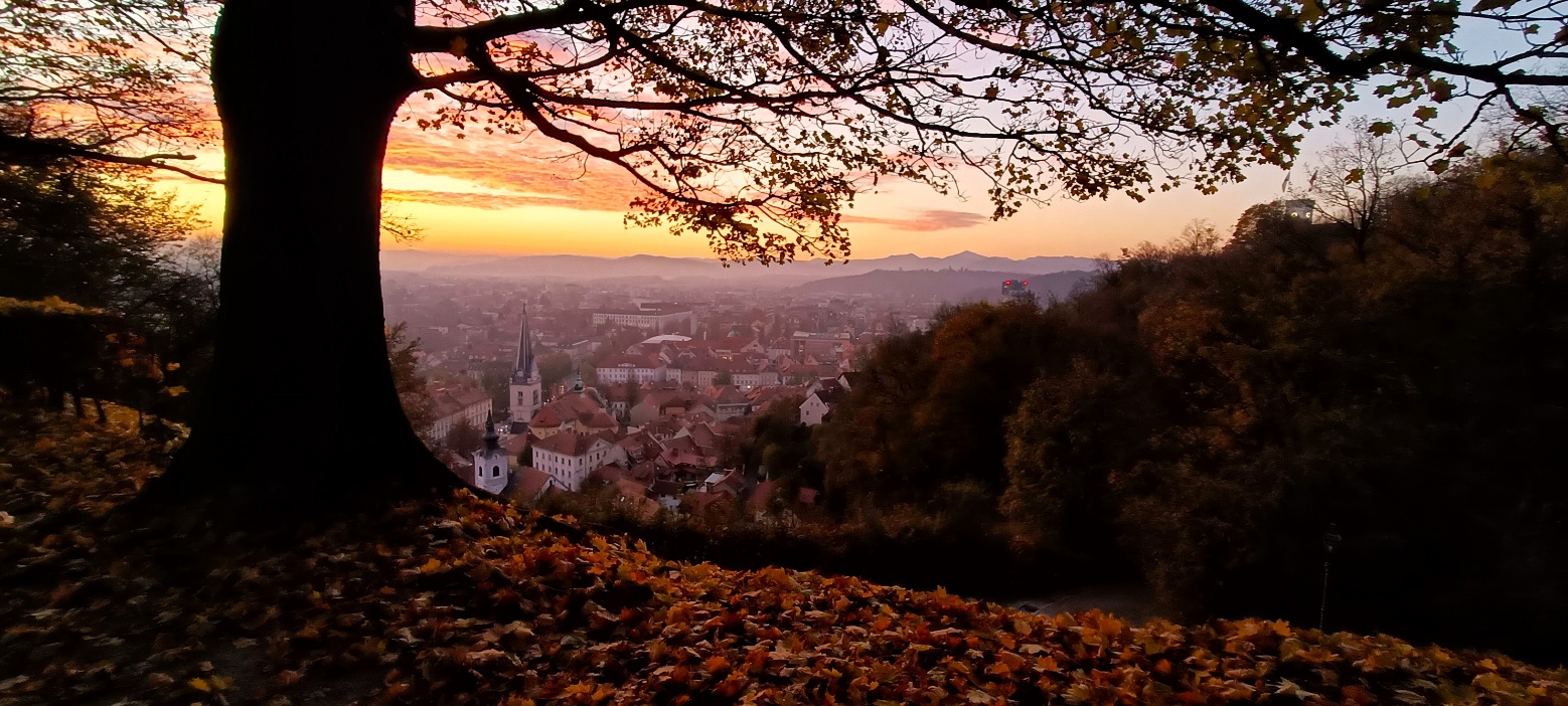 Slika, ki vsebuje besede drevo, na prostem, pokrajina, jesen

Opis je samodejno ustvarjen