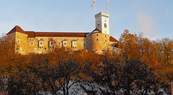 ALI SE RES KAJ »ČUDNEGA« SKRIVA ZA »LAHKOTNIM« HORUK POSEKOM 205 DREVES NA POBOČJIH GRAJSKEGA GRIČA V LJUBLJANI!? KDAJ SPLOH TO BO!? KJE JE »PREVIDNOSTNO NAČELO«!? IN, ALI ŽUPAN SPLOH VE ZA VSE, KAR JE MORDA TU V IGRI!?