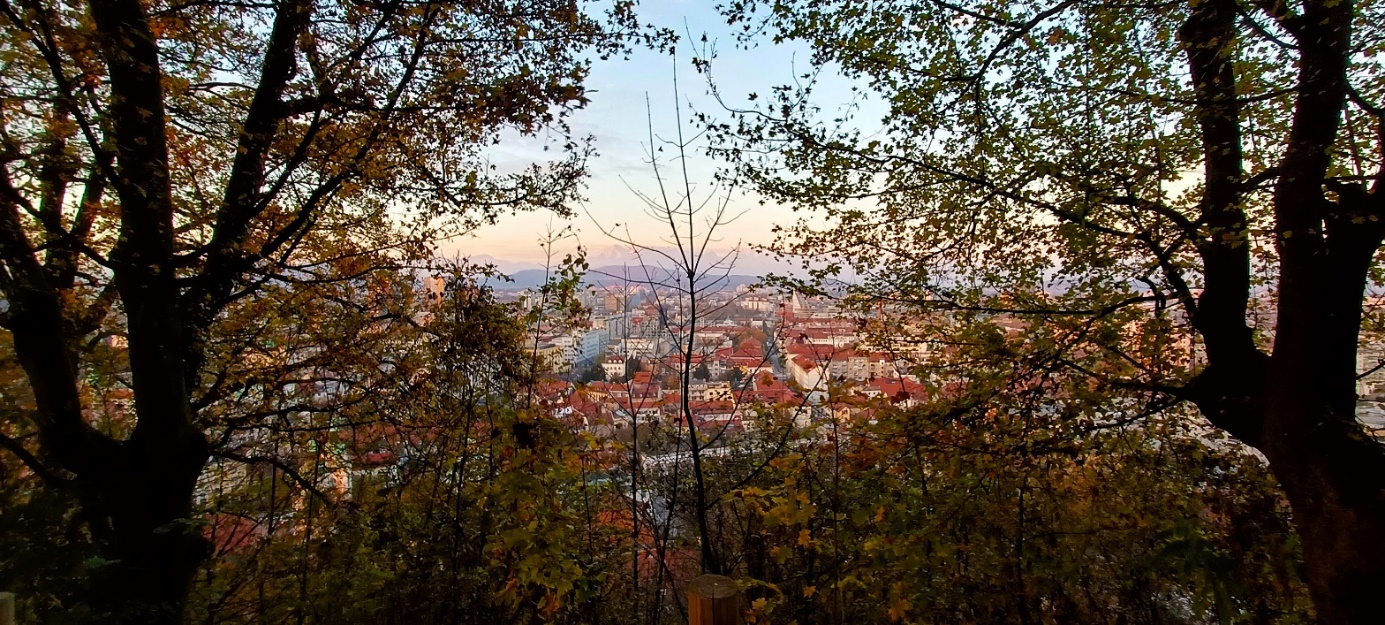 Slika, ki vsebuje besede na prostem, nebo, drevo, rastlina

Opis je samodejno ustvarjen