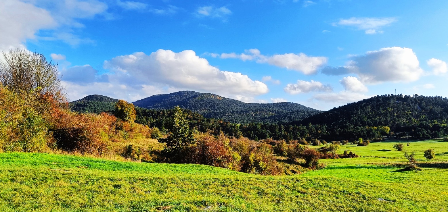 Slika, ki vsebuje besede pokrajina, na prostem, trava, nebo

Opis je samodejno ustvarjen