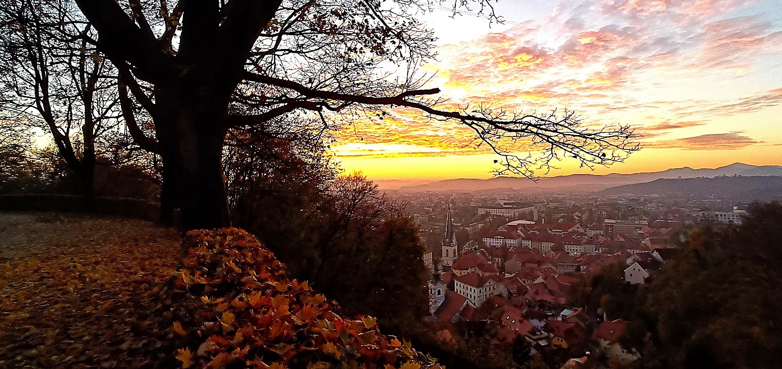 Slika, ki vsebuje besede na prostem, nebo, drevo, oblak

Opis je samodejno ustvarjen