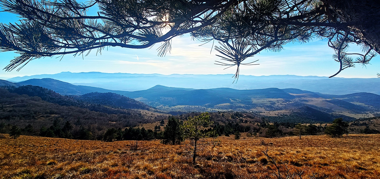 Slika, ki vsebuje besede pokrajina, na prostem, gora, drevo

Opis je samodejno ustvarjen